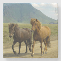 A Pair of Brown Islands Ponies
