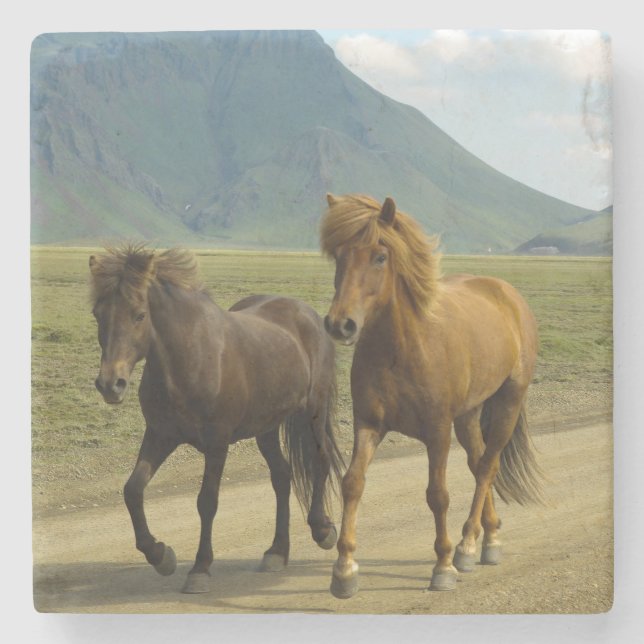 A Pair of Brown Islands Ponies Stenunderlägg (Framsidan)