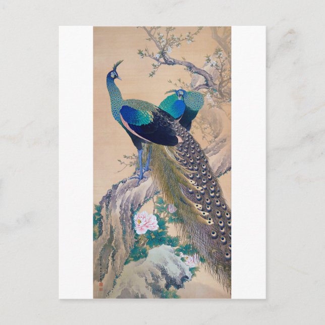 A Pair of Peacocks in Vår, Imao Keinen Vykort (Framsida)