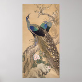 A Pair Peacocks i Vår av Imao Keinen Poster