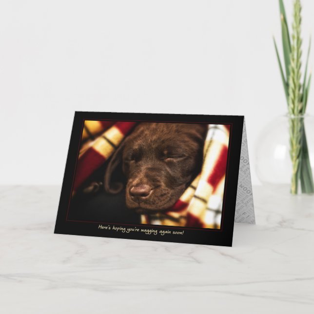 A-PAL - Labrador Retriever Puppy | Hämta källkort Kort (Framsida)