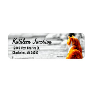 A-PAL tonad orange tabby kattmålninganpassningsba Returadress Etikett