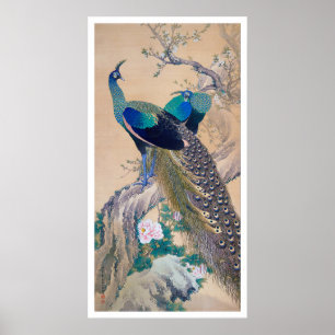 A par Peacocks i Vår, Imao Keinen Poster