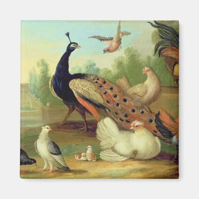 A Peacock, Doves, Chickens och Jay i en park Magnet (Framsidan)