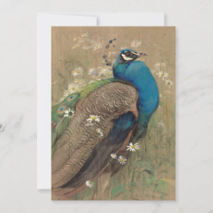 A Peacock och Marguerites   Edwin John Alexander