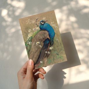 A Peacock och Marguerites Edwin John Alexander Kort