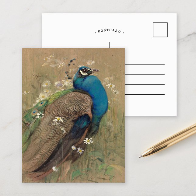 A Peacock och Marguerites | Edwin John Alexander Vykort (Skapare uppladdad)
