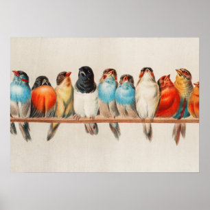 A Perch of Birds, 1880 av Hector Giacomelli Poster