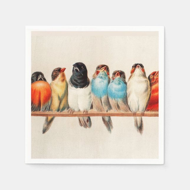 A Perch of Birds av Hector Giacomelli Pappersservett (Framsidan)