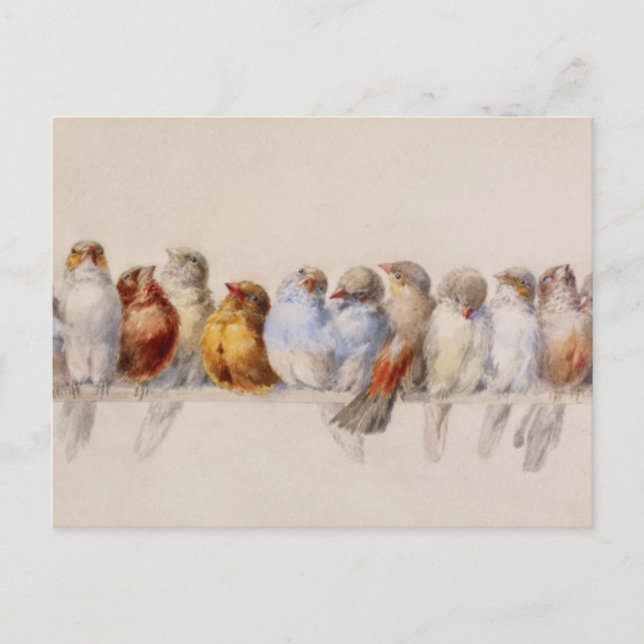A Perch of Birds Hector Giacomelli 1880 Vykort (Framsida)