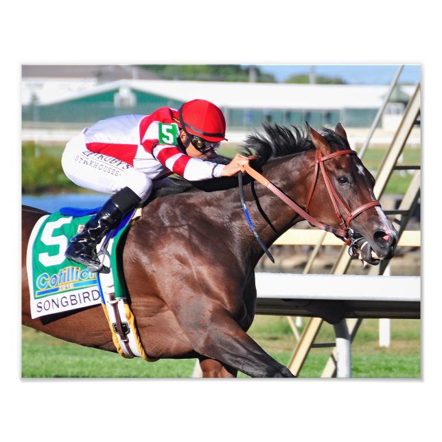 A PERFEKT SÅNG FOTOTRYCK (Framsidan)