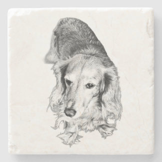 A Place to Pause – Long-Haired Dachshund Stenunderlägg