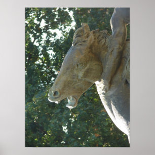 A Plaza Fontän Horse Poster