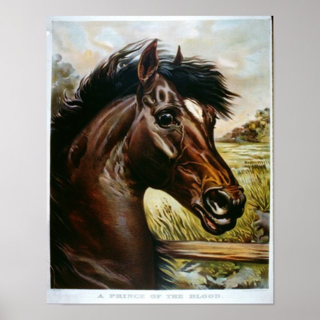 A Prince of the Blood Poster (Framsidan)