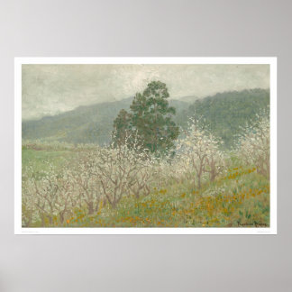 A Prune Orchard, Saratoga, Kalifornien (1170) Poster