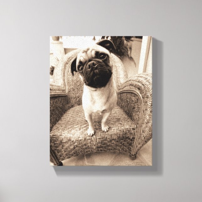 A Pug med huvud Titel till sidan Canvastryck (Framsida)