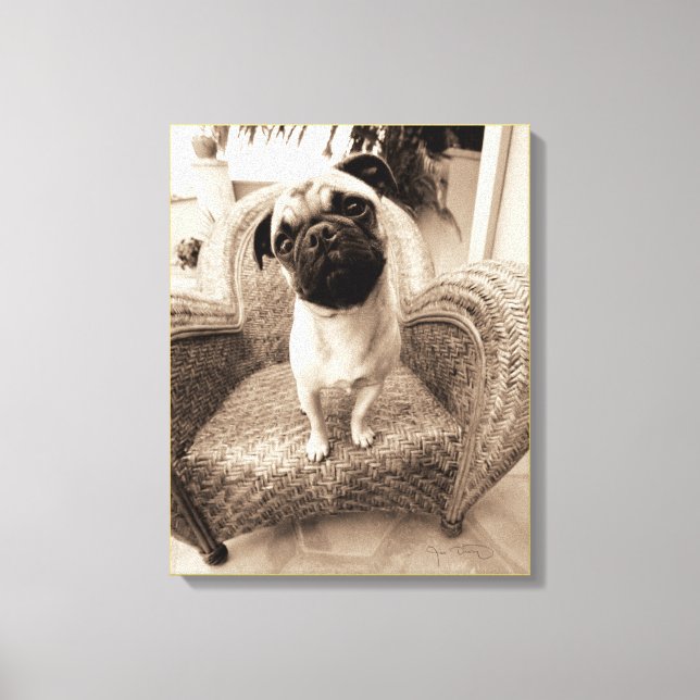 A Pug med huvud Titel till sidan Canvastryck (Framsida)