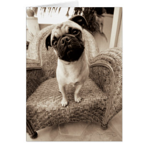 A Pug med huvud Titel till sidan Hälsningskort
