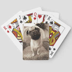 A Pug med huvud Titel till sidan Spel Kort