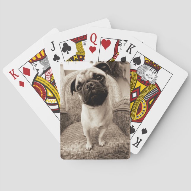 A Pug med huvud Titel till sidan Spel Kort (Baksidan)