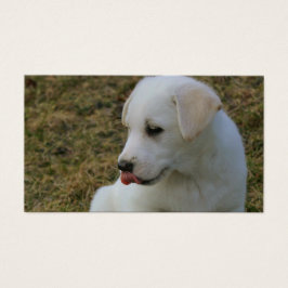 A Puppies Tunga Visitkort