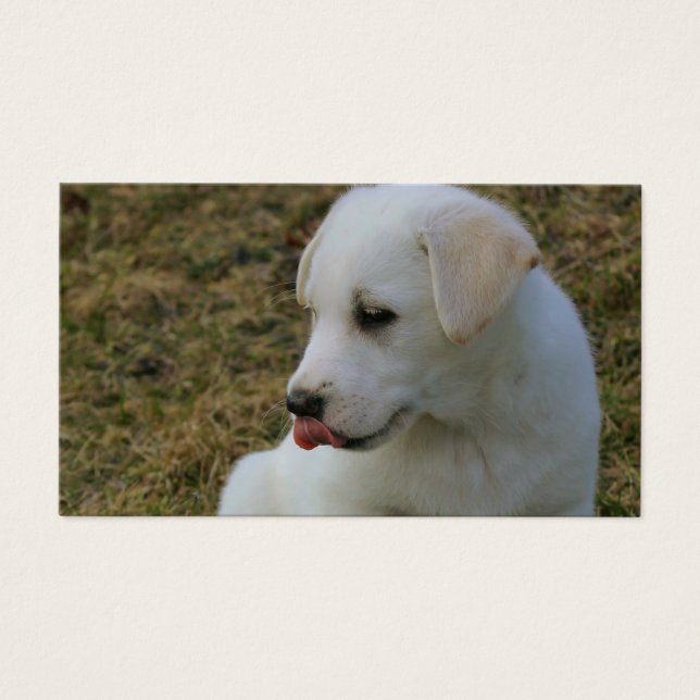 A Puppies Tunga Visitkort (Framsidan)