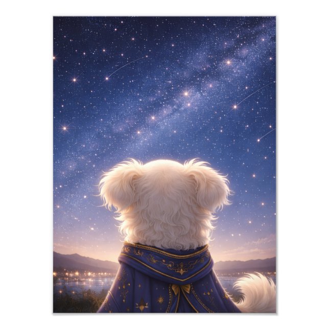 A Quiet Night Under the Stars – Art Print Fototryck (Framsidan)