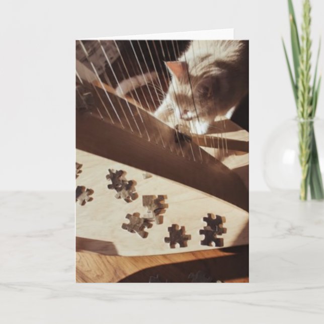 A Quiet Note Between Strings Kort (Framsida)