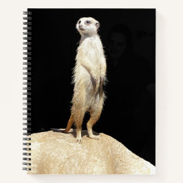 A Quirky Meerkat - bärbar dator