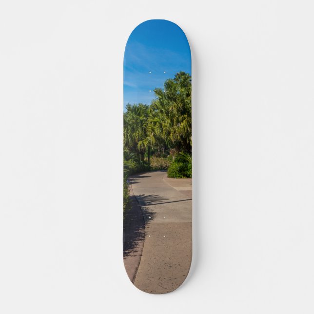 A Resort Walk Mini Skateboard Bräda 18,7 Cm (Framsida)