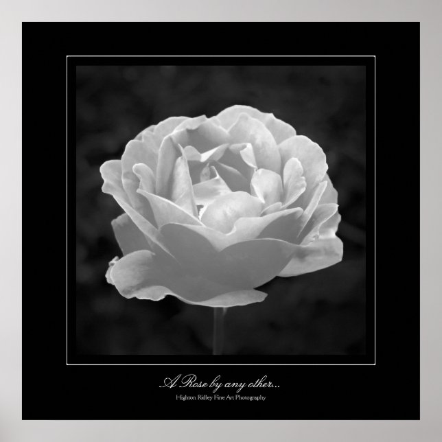 A Ro efter andra..., Fine Art Gallery-stil Poster (Framsidan)