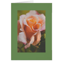 A ro under regnet hälsningskort