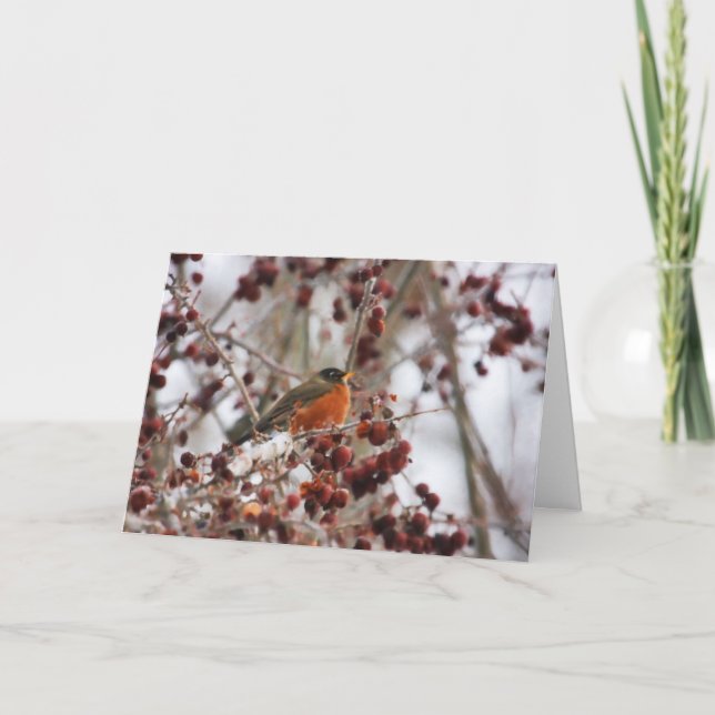 A Robin Hälsning vintersäsongen Helgkort (Framsida)