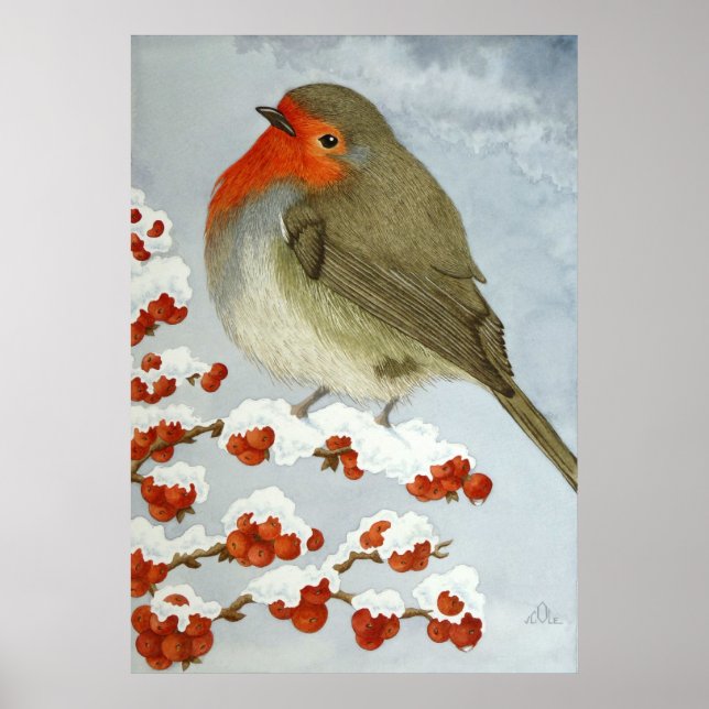 A Robin och bär i snö Poster (Framsidan)