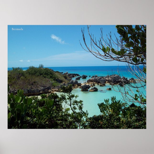 A Rocky Bermuda Cove Poster (Framsidan)