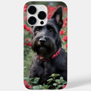 "A Röd ros för Black Scottish Terrier"