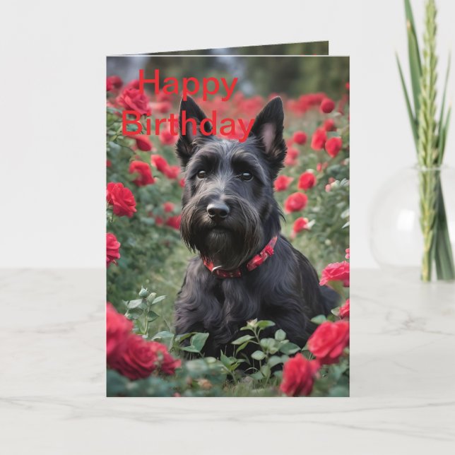 "A Röd ros för Black Scottish Terrier" Kort (Framsida)