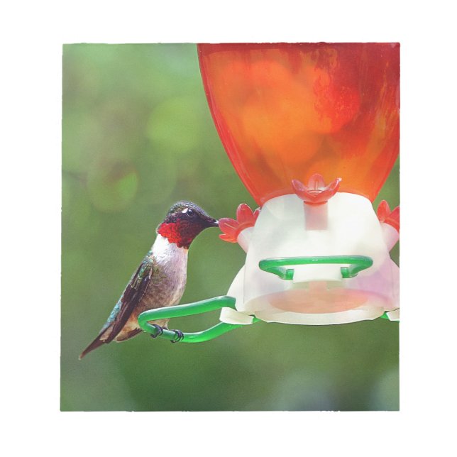 A Ruby Throated Hummingbird Anteckningsblock (Framsida)
