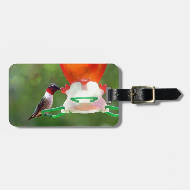 A Ruby Throated Hummingbird Bagagebricka (Horisontell Framsida)