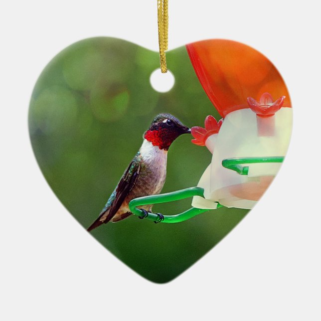 A Ruby Throated Hummingbird Julgransprydnad Keramik (Framsidan)