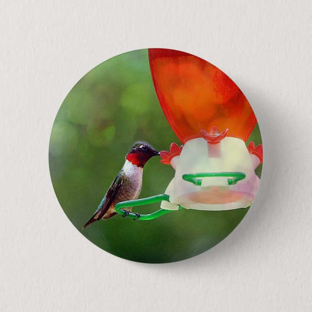 A Ruby Throated Hummingbird Knapp (Framsida)
