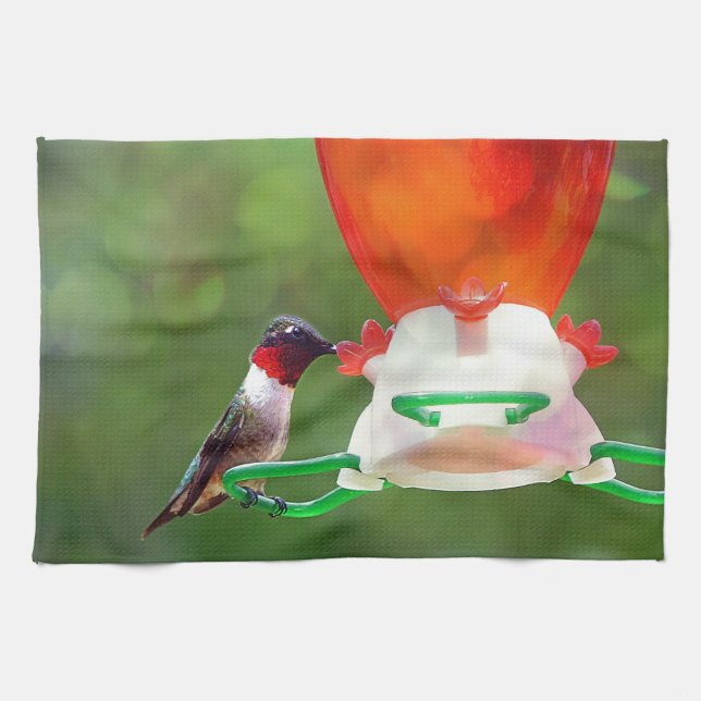 A Ruby Throated Hummingbird Kökshandduk (Horisontell)