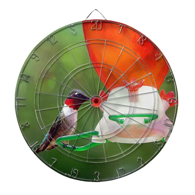A Ruby Throated Hummingbird Piltavla (Framsidan)