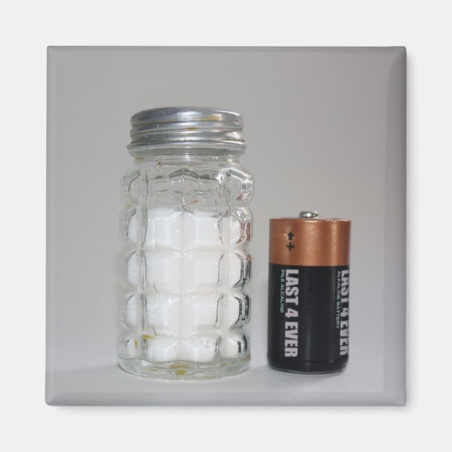 A Salt and Battery Magnet (Framsidan)