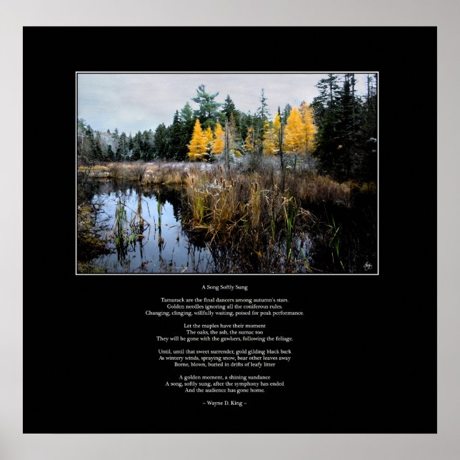 A Sång Softly Sung Poster Dikt och bild (Framsidan)