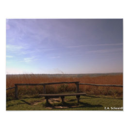 A Schneider, Ställe för fred Fototryck