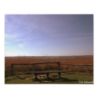 A Schneider, Ställe för fred Fototryck