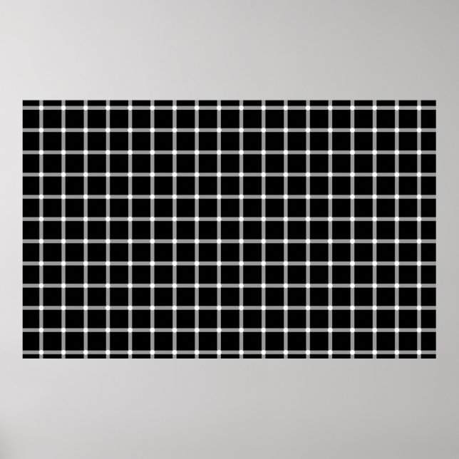 A scintillating black and white grid optiillus poster (Framsidan)