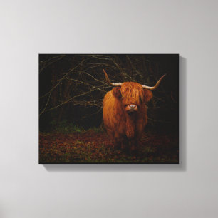 A Scottish Highland Cow Canvastryck