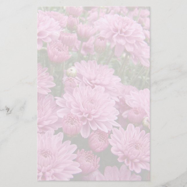 A Sea of Rosa Chrysanthemums #2 Brevpapper (Framsida)
